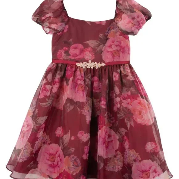 Rare Editions Big Girls Floral Organza Puff Sleeve Dress